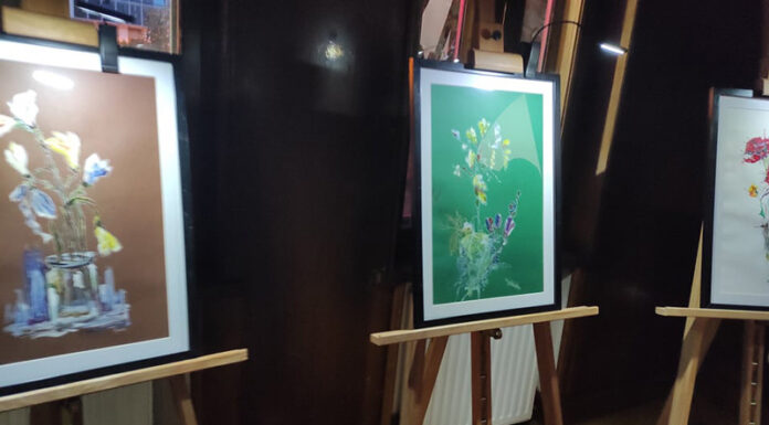 ,,Noaptea Muzeelor”, ediția din 2025, va fi anulată