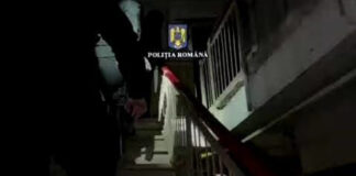 Percheziții după bătaie cu bâte într-un local din Rovinari