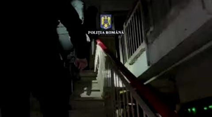 Percheziții după bătaie cu bâte într-un local din Rovinari