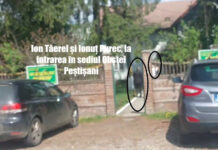 FOTO. Protagoniștii din dosarul ,,Mafia pădurilor”, întâlnire la Obștea Peștișani! Justiția tace, afacerile continuă!