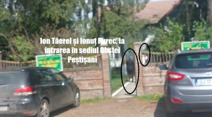 FOTO. Protagoniștii din dosarul ,,Mafia pădurilor”, întâlnire la Obștea Peștișani! Justiția tace, afacerile continuă!