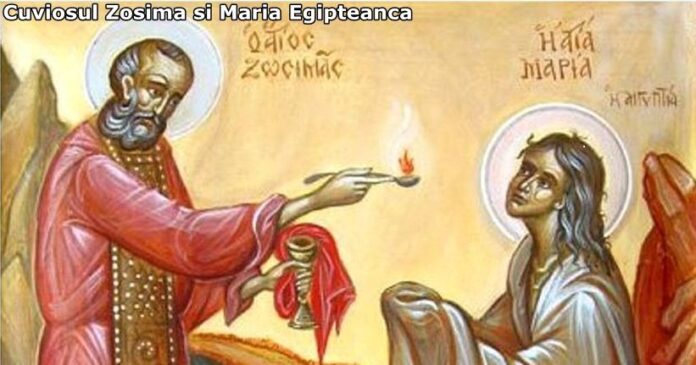 Sf Maria Egipteanca si Cuv Zosima 2