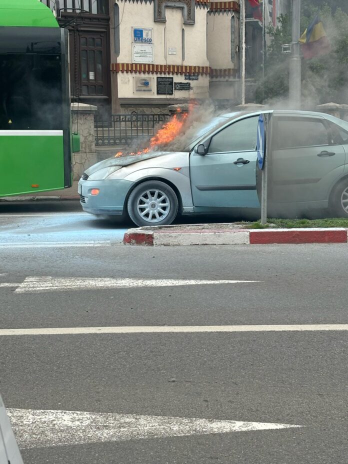 WhatsApp Image 2025-04-03 at 13.47.42