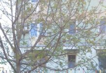 BUCURIA COPILĂRIEI – SUNT LIBER SĂ MĂ EXPRIM