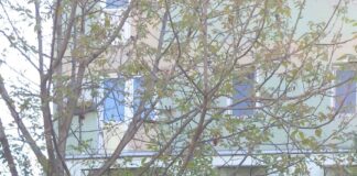 BUCURIA COPILĂRIEI – SUNT LIBER SĂ MĂ EXPRIM