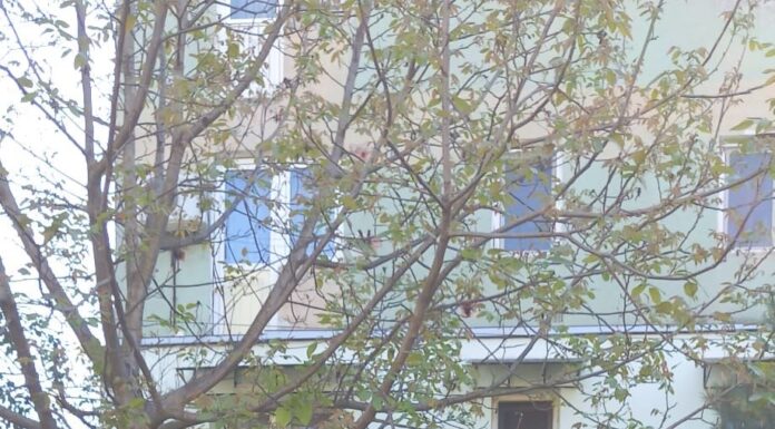 BUCURIA COPILĂRIEI – SUNT LIBER SĂ MĂ EXPRIM