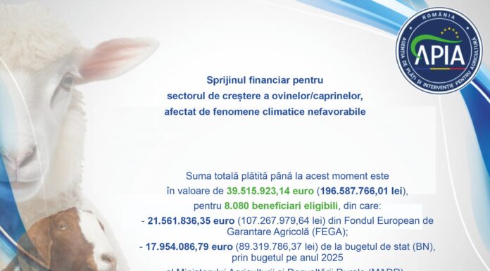 Vin banii pentru crescătorii de ovine și caprine!