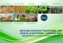 APIA: Peste 804,4 milioane lei ajung în conturile beneficiarilor de ANT