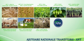 APIA: Peste 804,4 milioane lei ajung în conturile beneficiarilor de ANT