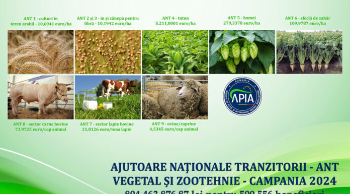 APIA: Peste 804,4 milioane lei ajung în conturile beneficiarilor de ANT