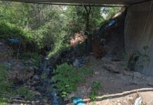 Semnal de alarmă de la Aparegio: Nepăsarea face ravagii în rețeaua de canalizare