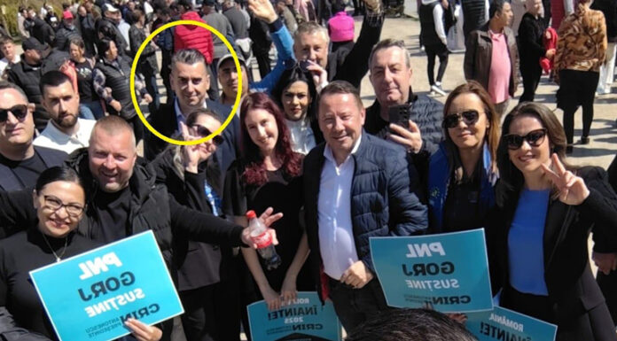 Supraveghetor al CEO, prezent alături de liberali, la mitingul de susținere pentru Crin Antonescu