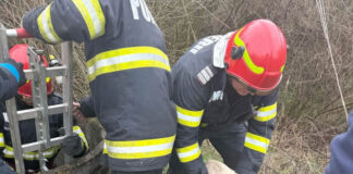 Reținut după ce a adoptat un câine și l-a aruncat în puț