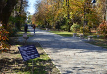 Film documentar dedicat ansamblului brâncușian „Calea Eroilor”