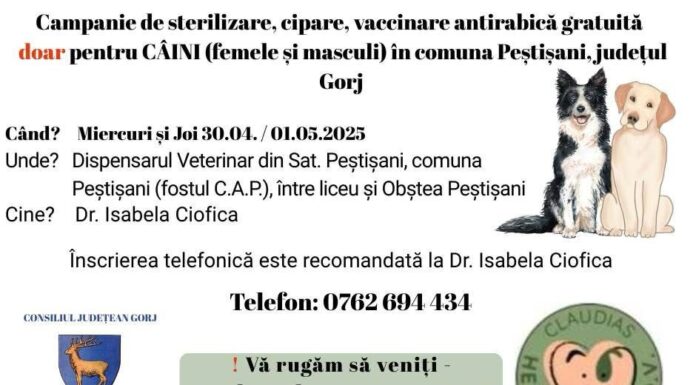 Sterilizare, microcipare și vaccinare a câinilor, la Peștișani