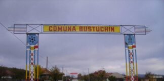 Se extinde rețeaua de gaze în Bustuchin