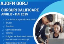 AJOFM demarează noi cursuri pentru șomeri