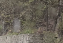 Drumarii lucrează pe Defileul Jiului. Circulație întreruptă momentan