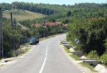 Peste 400.000 lei pentru tăierea arborilor periculoși de pe marginea drumurilor județene