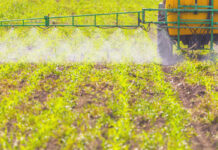 Agricultura pe înțelesul tuturor – Calendarul lucrărilor agricole în luna aprilie