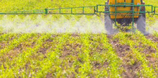 Agricultura pe înțelesul tuturor – Calendarul lucrărilor agricole în luna aprilie