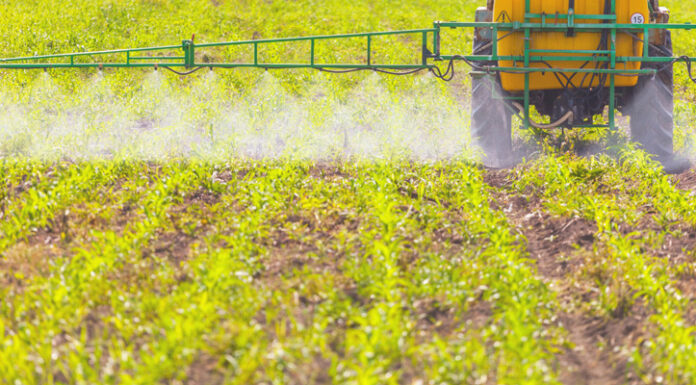 Agricultura pe înțelesul tuturor – Calendarul lucrărilor agricole în luna aprilie