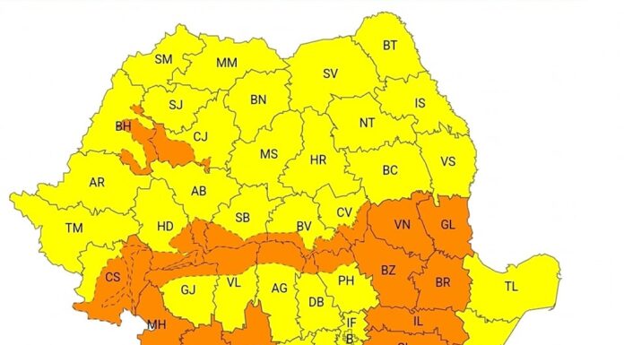 Nordul județului Gorj, sub cod portocaliu de vânt și viscol