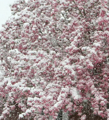Încă o zi de iarnă