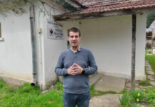 Alimpești: Campanie gratuită de sterilizare a câinilor cu stăpân