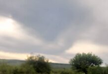 Poliția Locală Târgu Jiu: Măsuri de ordine publică de 1 Mai și Sărbătoarea Narciselor