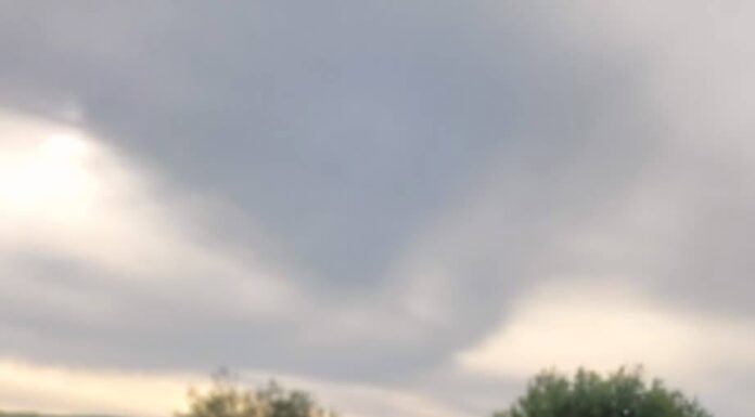 Poliția Locală Târgu Jiu: Măsuri de ordine publică de 1 Mai și Sărbătoarea Narciselor