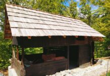 Pe aripi înalte, pe Culmi spre Cer (II)