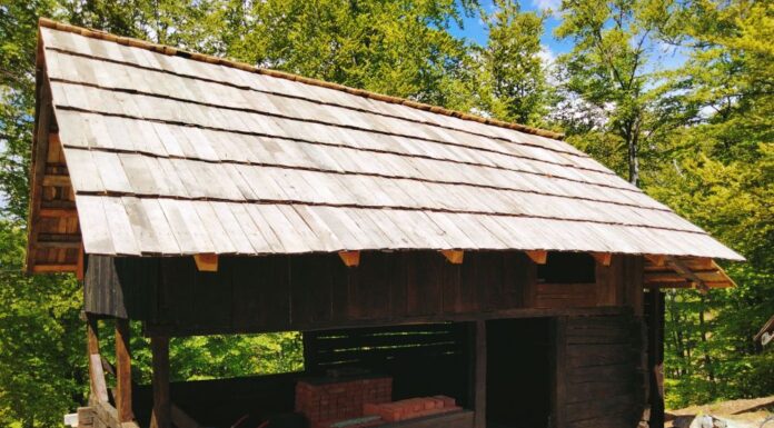 Pe aripi înalte, pe Culmi spre Cer (II)