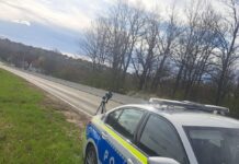 Sute de permise de conducere, reținute de polițiști în prima zi de Paște