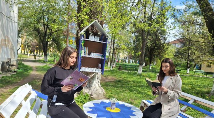 Reciclare creativă și culoare într-un liceu din Târgu Jiu