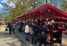 Sărbătoarea Narciselor, la Târgu Jiu