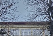 Spiritualitate și performanță la Olimpiada Interdisciplinară de la Târgu Jiu