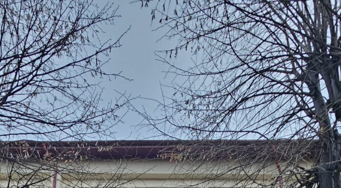 Spiritualitate și performanță la Olimpiada Interdisciplinară de la Târgu Jiu