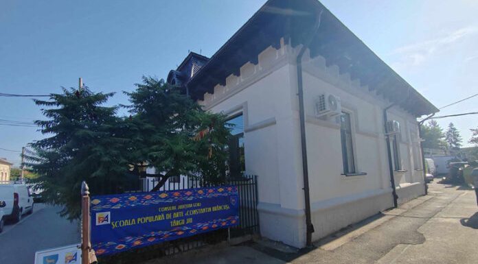 Concurs pentru un post de instructor la Şcoala Populară de Arte