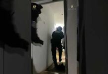 VIDEO: Decizia judecătorilor pentru trei dintre tinerii reținuți după percheziții