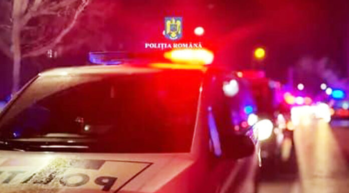 Reținut după ce a intrat cu mașina în stâlp, în timp ce încerca să fugă de Poliție