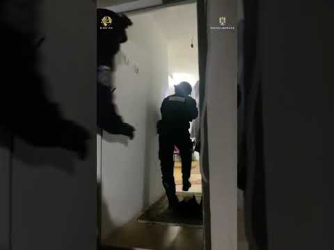 VIDEO: Percheziții în Târgu-Jiu și Bălești