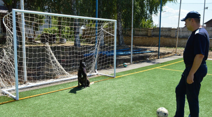 VIDEO: Câinele ,,portar” Max, care știe să apere mingile șutate la poartă, vedeta cu care se mândrește Jandarmeria Gorj