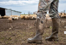 Fermele din România, pe locul 2 în Uniunea Europeană
