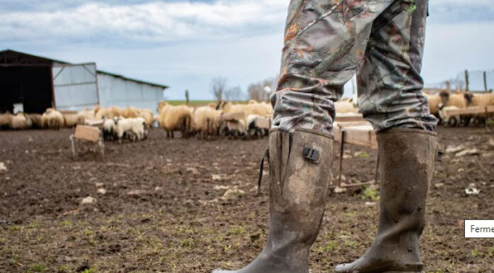 Fermele din România, pe locul 2 în Uniunea Europeană