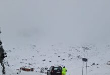 A nins pe Transfăgărășan