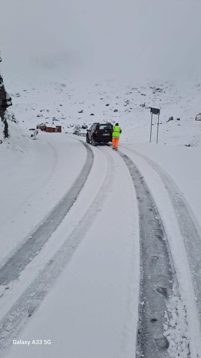 A nins pe Transfăgărășan