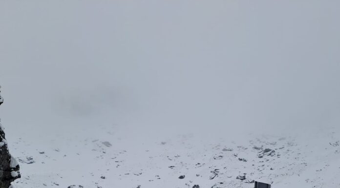 A nins pe Transfăgărășan