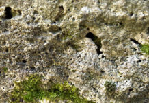 Mușchii cresc, restaurarea operelor amânată la infinit!