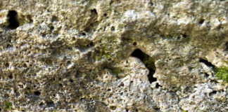 Mușchii cresc, restaurarea operelor amânată la infinit!